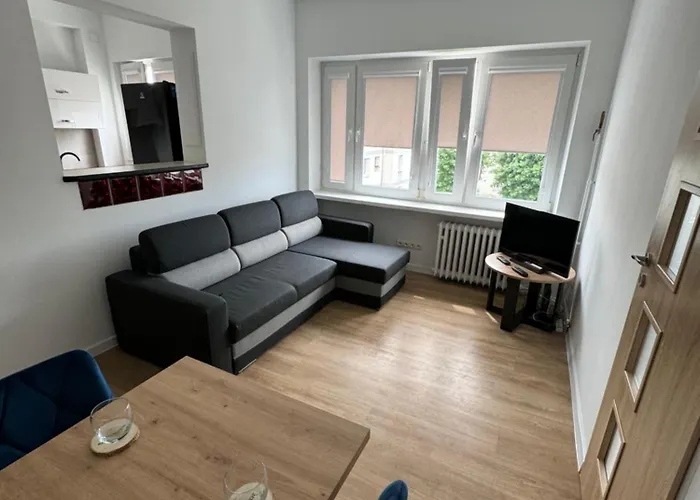 Mallborro - Z Widokiem Na Zamek Malbork